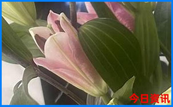 湖南自驾游5天最适合路线