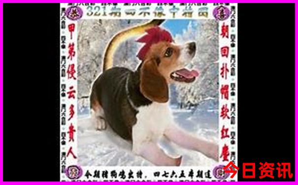 夏天去哪玩比较合适