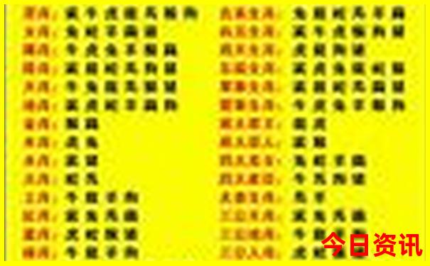 夏季适合去海边旅游的城市