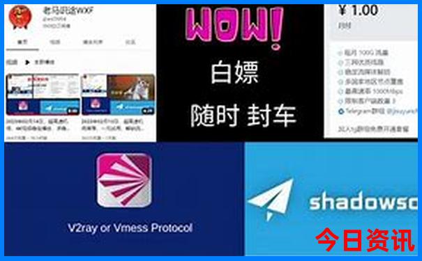 11选5开奖结果号码查询