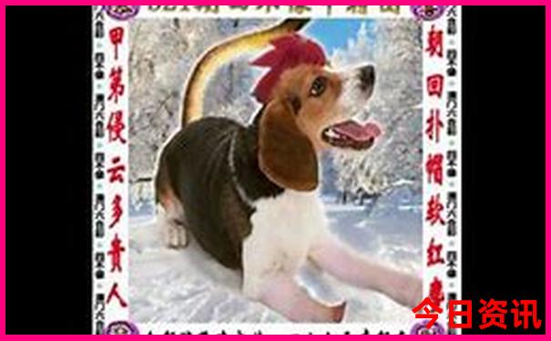 江苏省暑假旅游景点